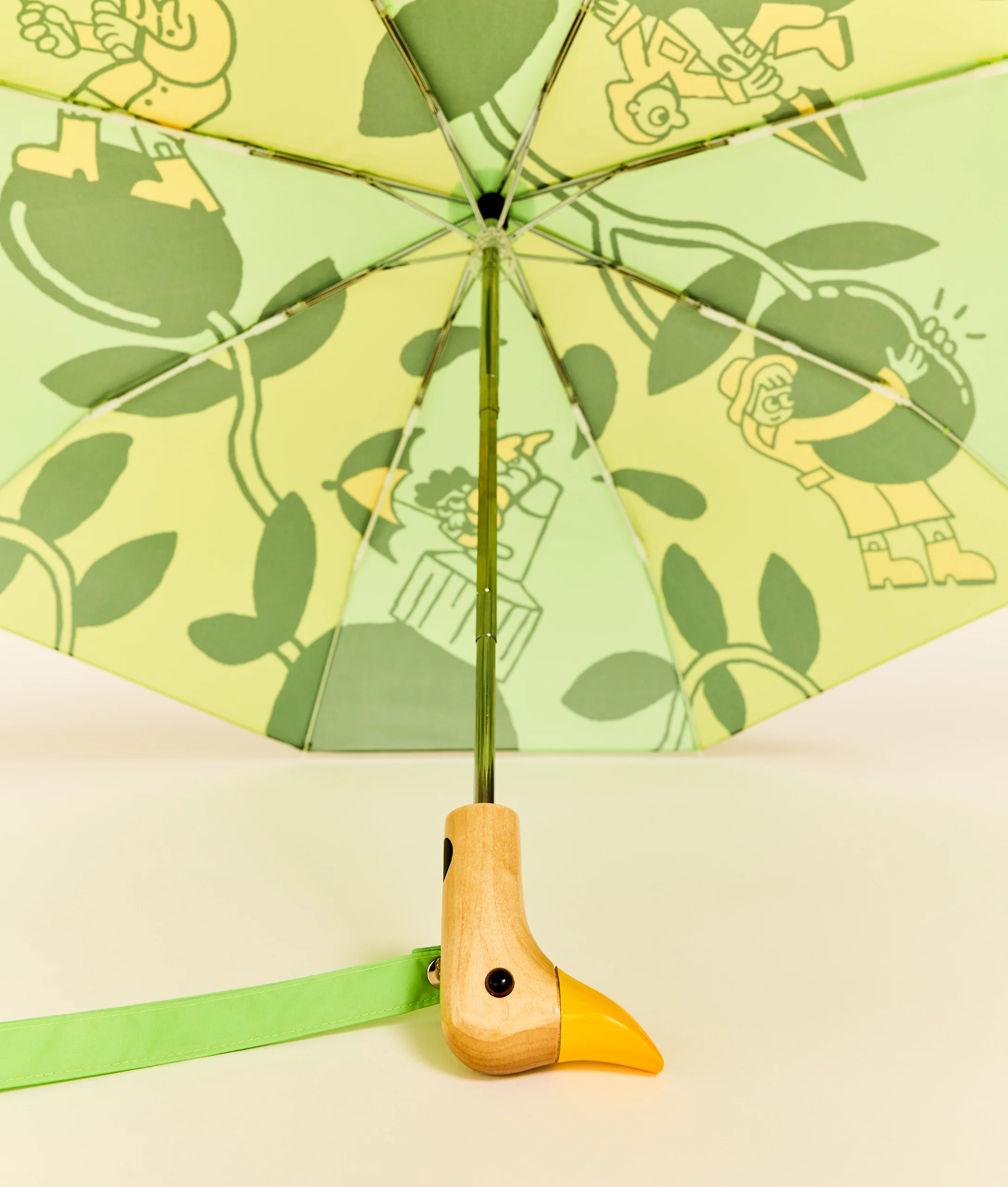 The “Umbrizzle” - Image 7